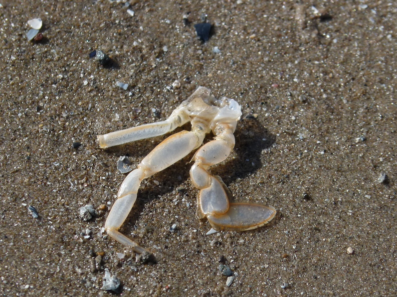 915.jpg