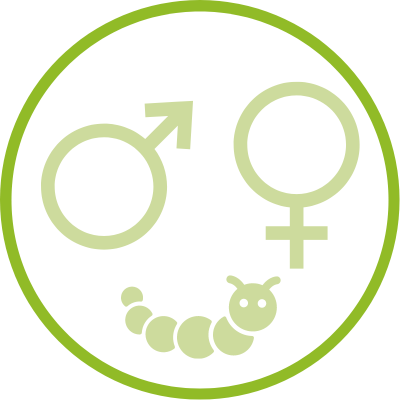 Sex and/or Stage