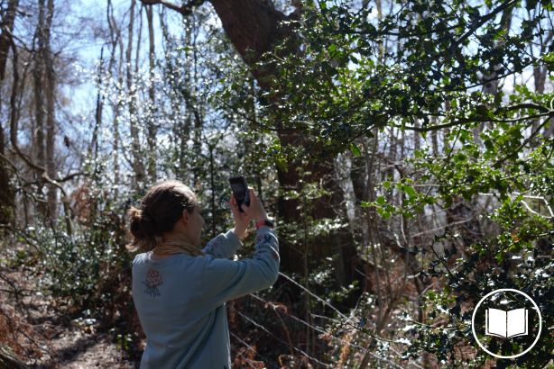 iNaturalist article